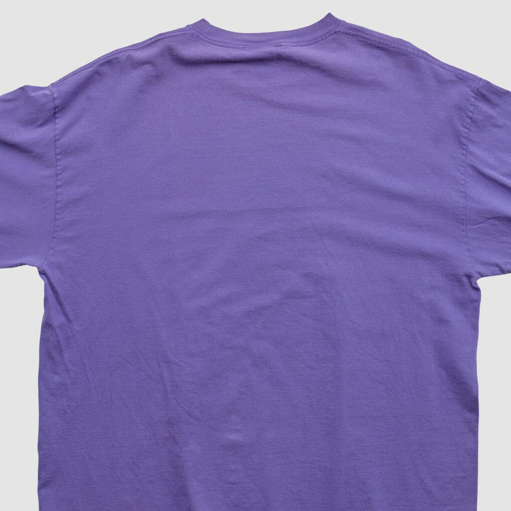 NFL 2010s Long Sleeve T-shirt - Minnesota Vikings T-shirts