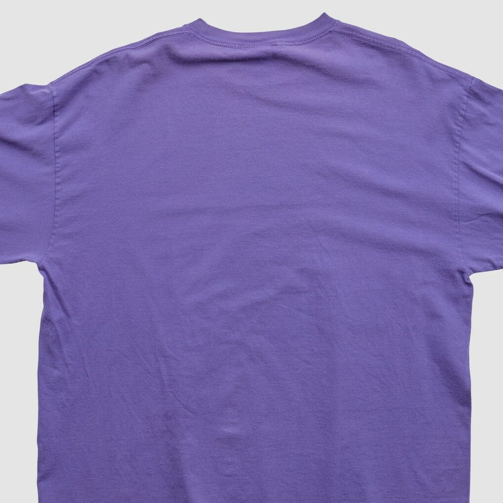 NFL 2010s Long Sleeve T-shirt - Minnesota Vikings T-shirts