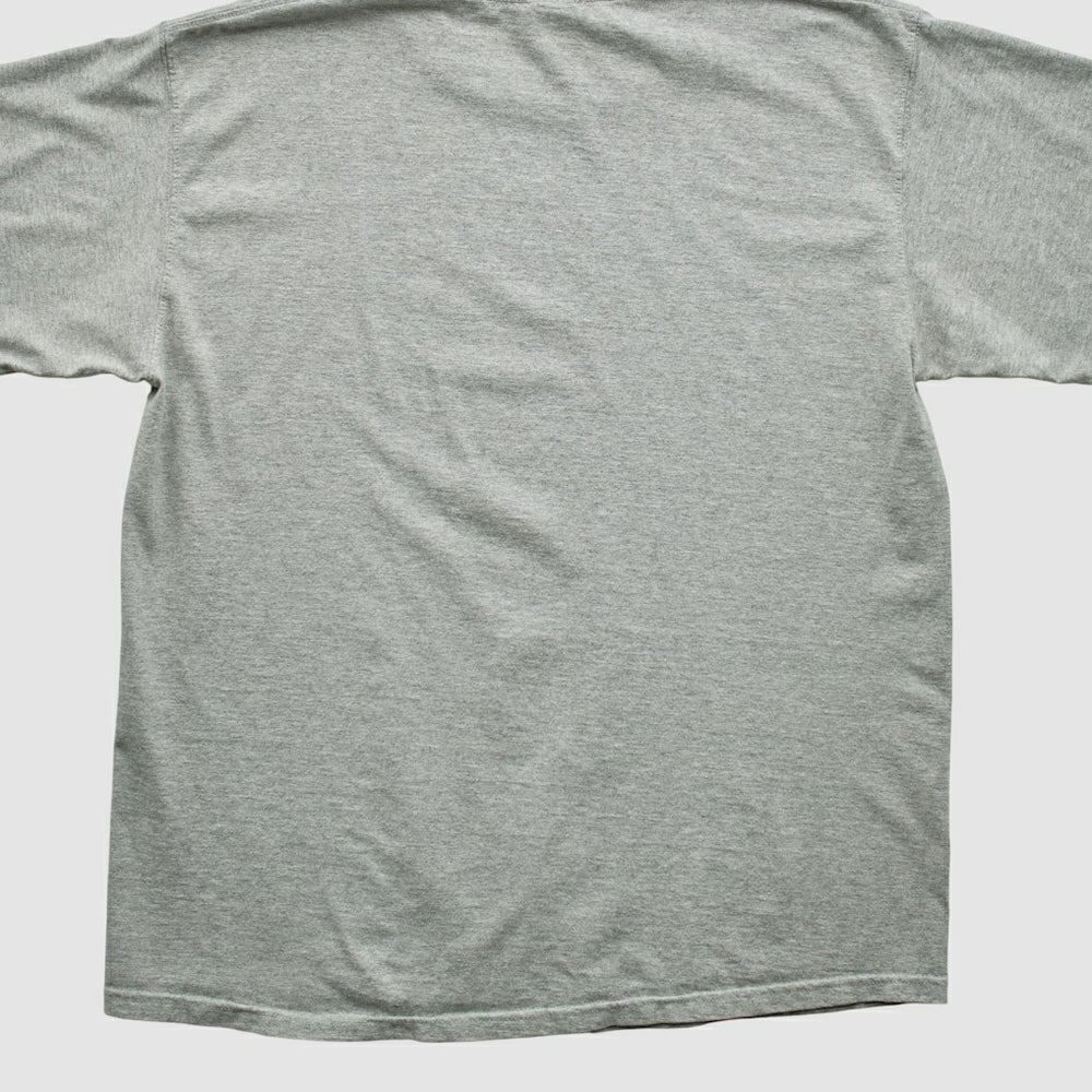 NFL 2000s T-shirt - New England Patriots T-shirts