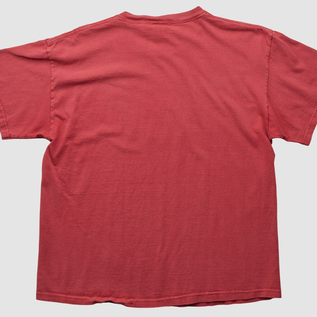 NFL 2010s T-shirt - San Francisco 49ers T-shirts