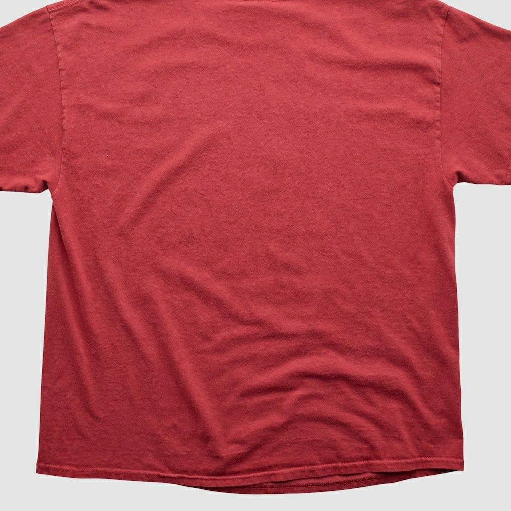 NFL 2010s T-shirt - Arizona Cardinals T-shirts