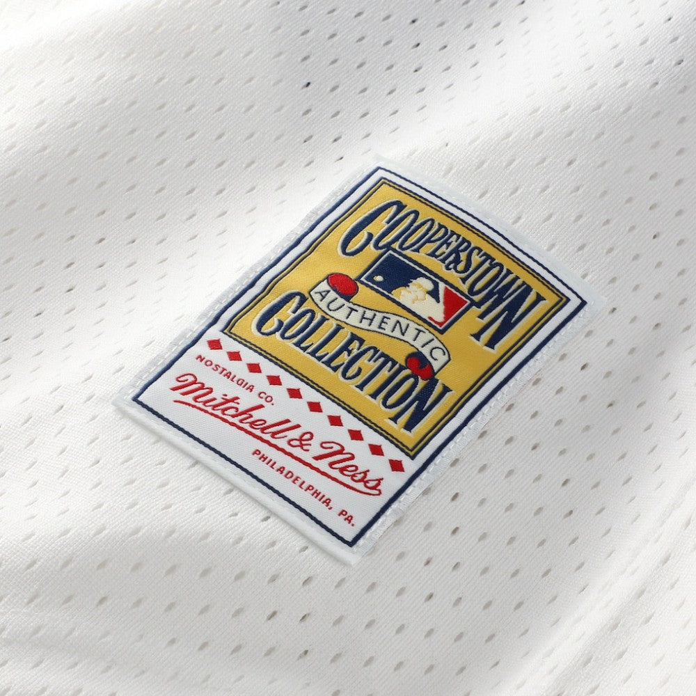 White Carlton Fisk Chicago White Sox Mitchell & Ness Authentic Batting Practice Jersey