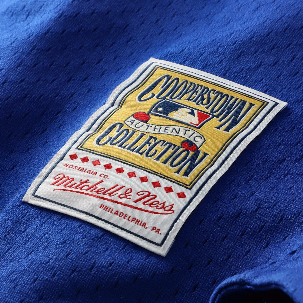 Royal Mike Piazza Los Angeles Dodgers Mitchell & Ness Cooperstown Collection Mesh Batting Practice Button-Up Jersey