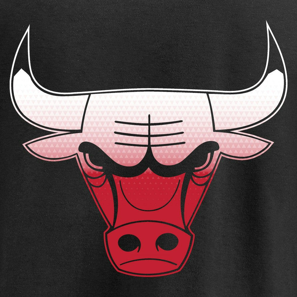 Chicago Bulls Gradient Logo T-Shirt sale