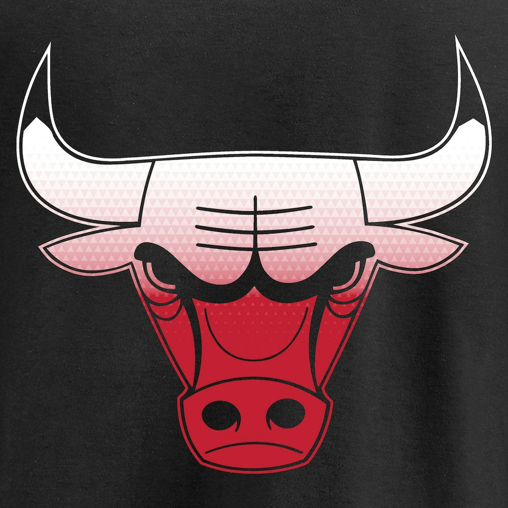 Chicago Bulls Gradient Logo T-Shirt sale