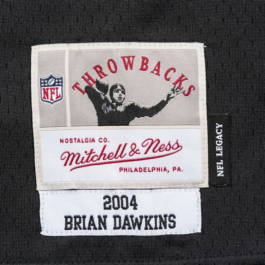 Brian Dawkins  Legacy Replica Jersey - Philadelphia Eagles Jerseys