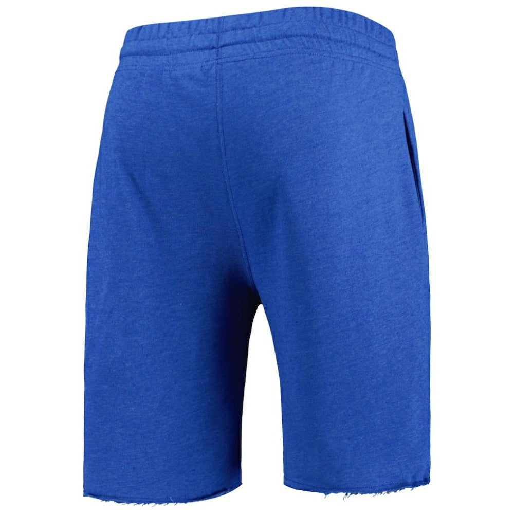 Heather Royal Chicago Cubs Concepts Sport Mainstream Terry Shorts