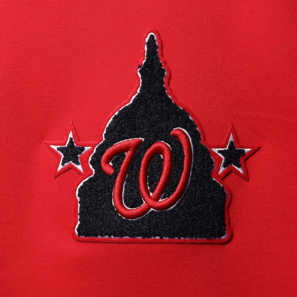 Red Washington Nationals Pro Standard Logo Pullover Hoodie