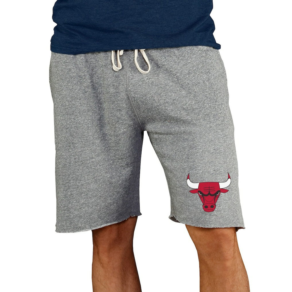 Chicago Bulls Concepts Sport Mainstream Terry Shorts