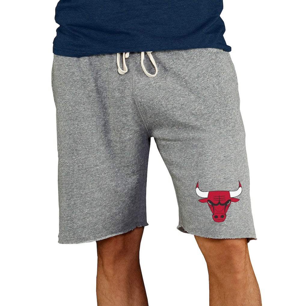 Chicago Bulls Concepts Sport Mainstream Terry Shorts