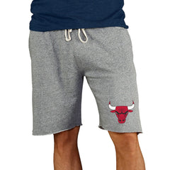 Chicago Bulls Concepts Sport Mainstream Terry Shorts