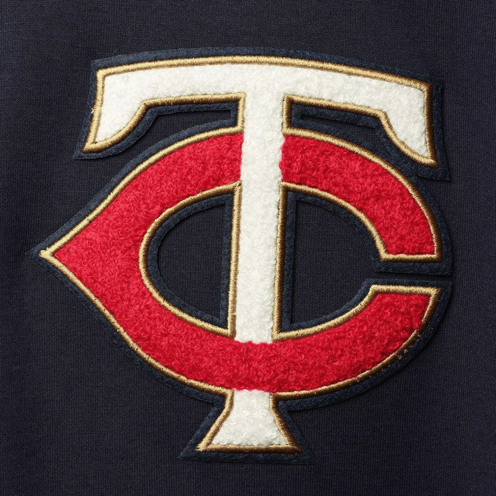 Navy Minnesota Twins Pro Standard Team Logo Pullover Hoodie