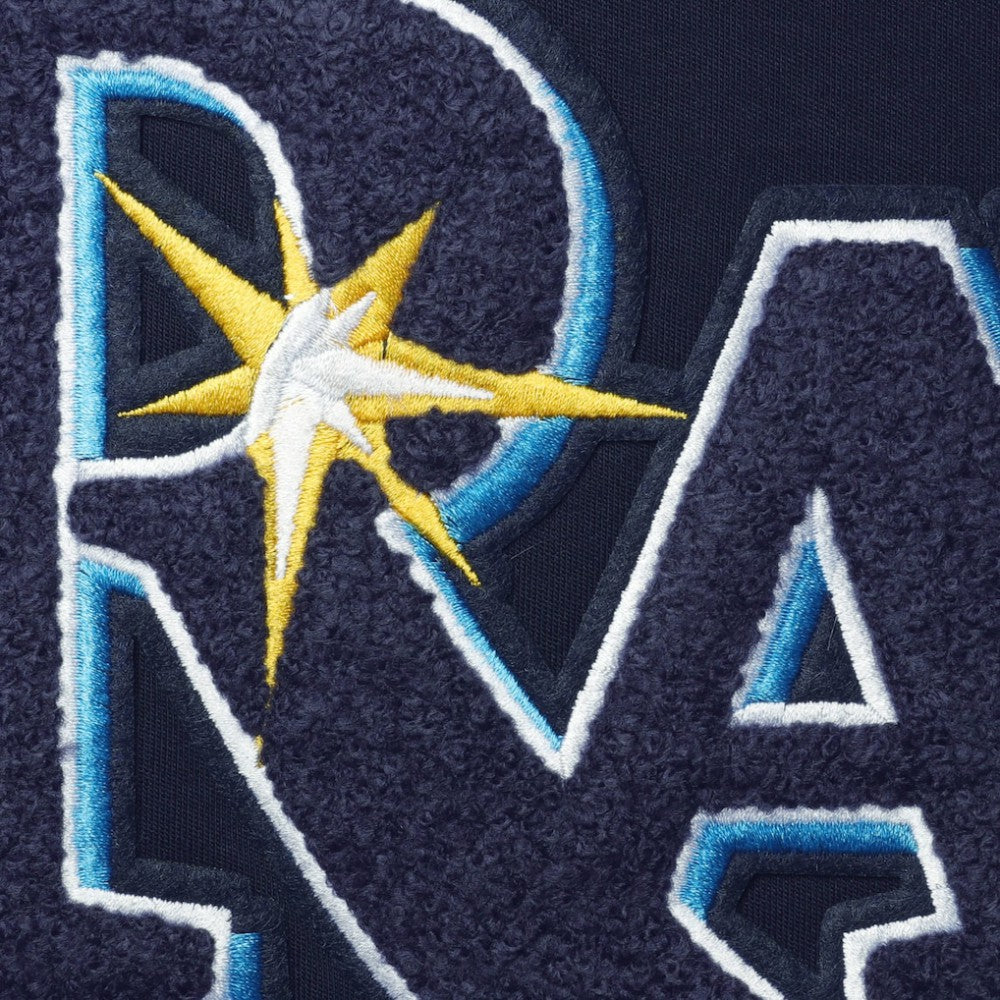 Navy Tampa Bay Rays Pro Standard Team T-Shirt