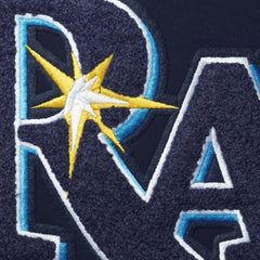 Navy Tampa Bay Rays Pro Standard Team T-Shirt