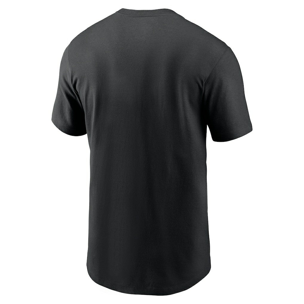 Essential Panthers Pride T-Shirt - Carolina Panthers T-shirts