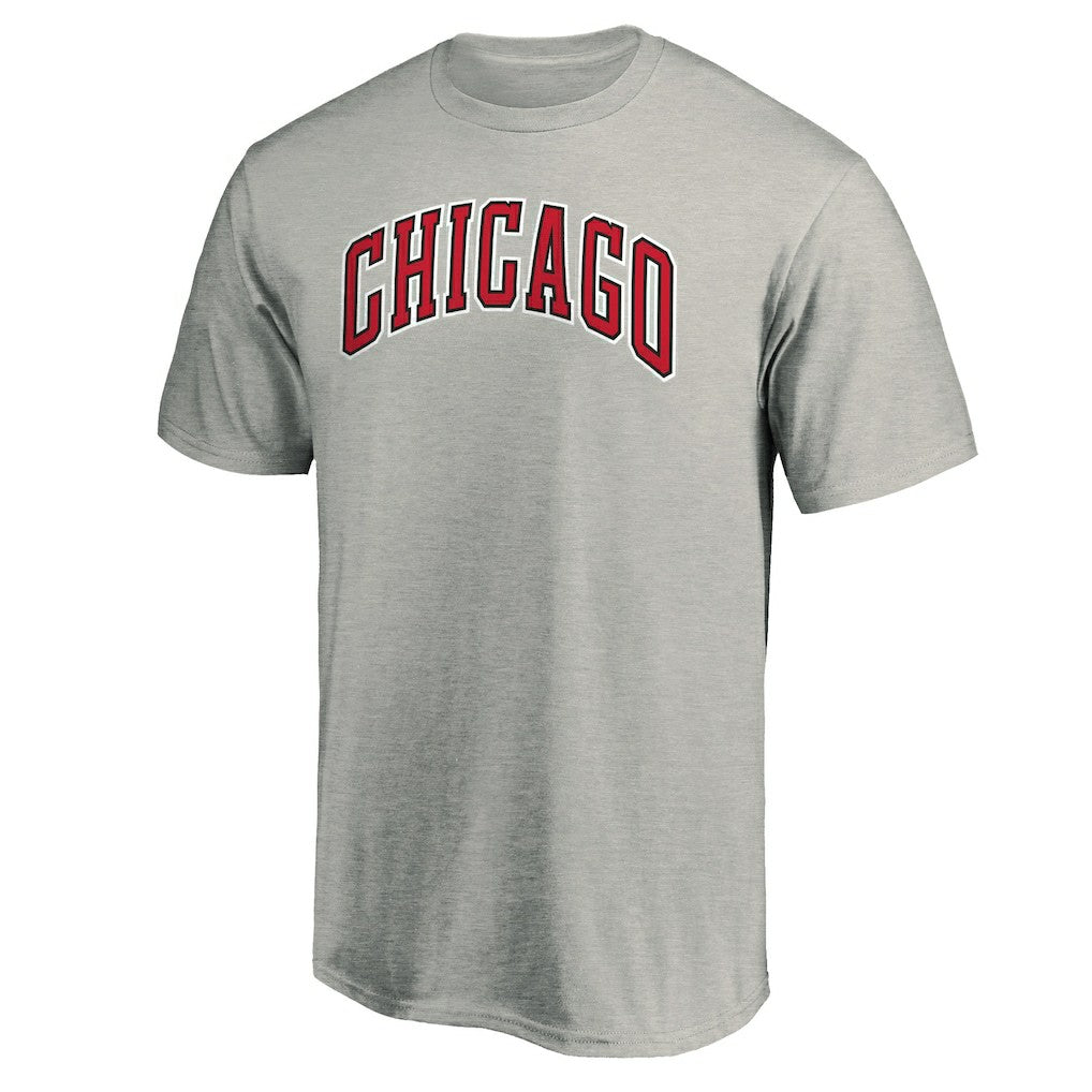 Chicago Bulls Alternate Logo T-Shirt sale