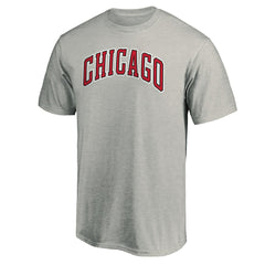 Chicago Bulls Alternate Logo T-Shirt sale