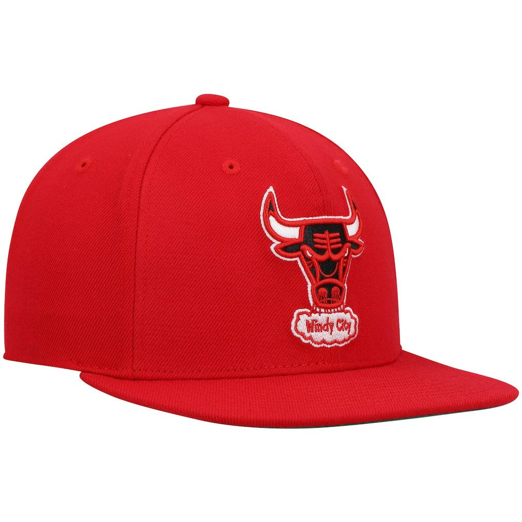 Mitchell & Ness Chicago Bulls Hardwood Classics Team Ground 2.0 Snapback Hat