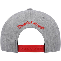 Mitchell & Ness Chicago Bulls Hardwood Classics Team 2.0 Snapback Hat
