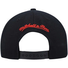 Mitchell & Ness Toronto Raptors Team Two-Tone 2.0 Snapback Hat