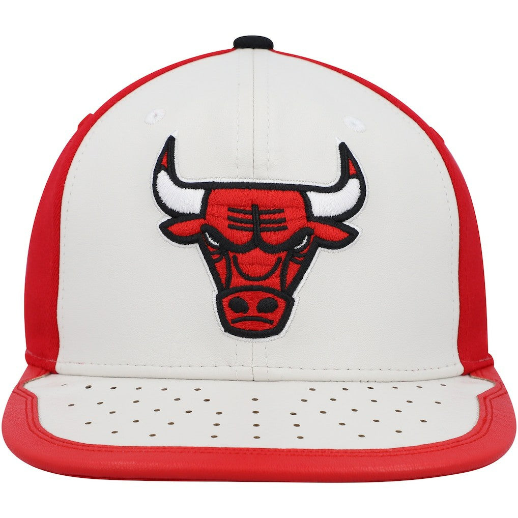 Mitchell & Ness Chicago Bulls Day One Snapback Hat