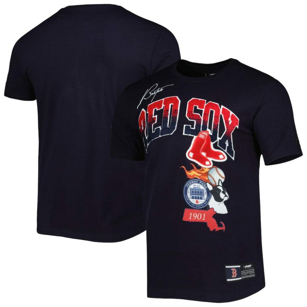 Navy Boston Red Sox Pro Standard Hometown T-Shirt