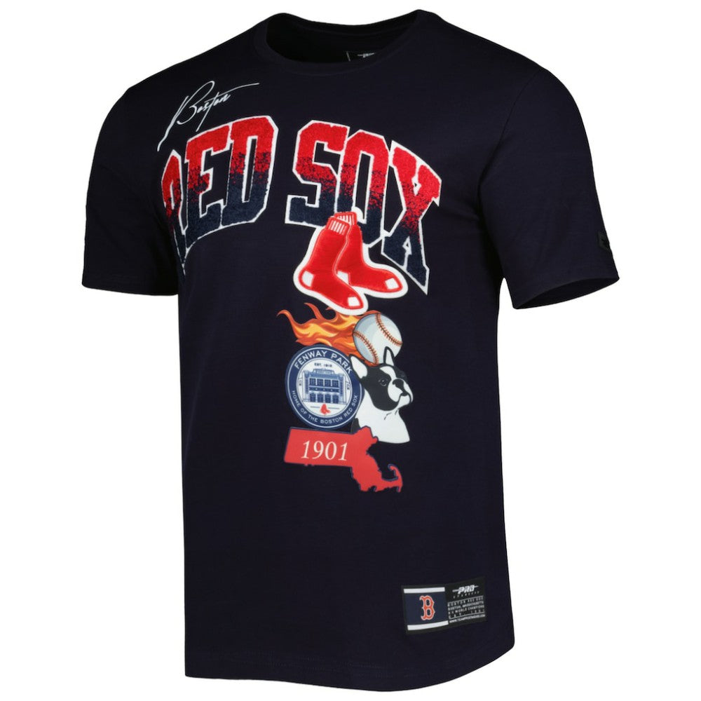 Navy Boston Red Sox Pro Standard Hometown T-Shirt