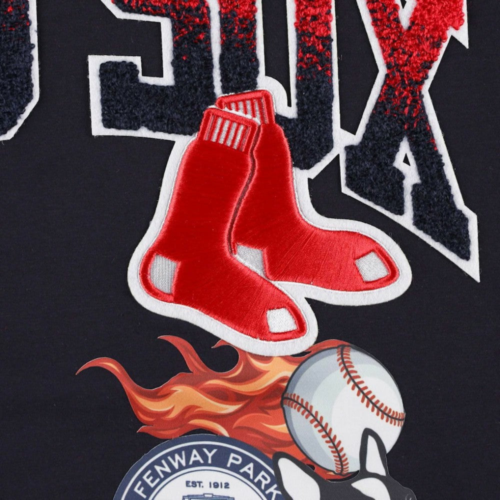 Navy Boston Red Sox Pro Standard Hometown T-Shirt