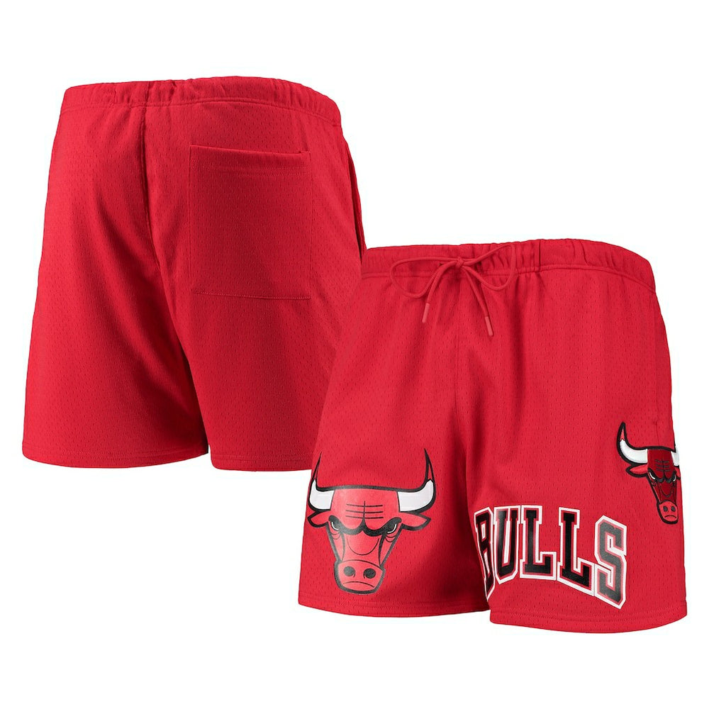 Chicago Bulls Pro Standard Mesh Capsule Shorts