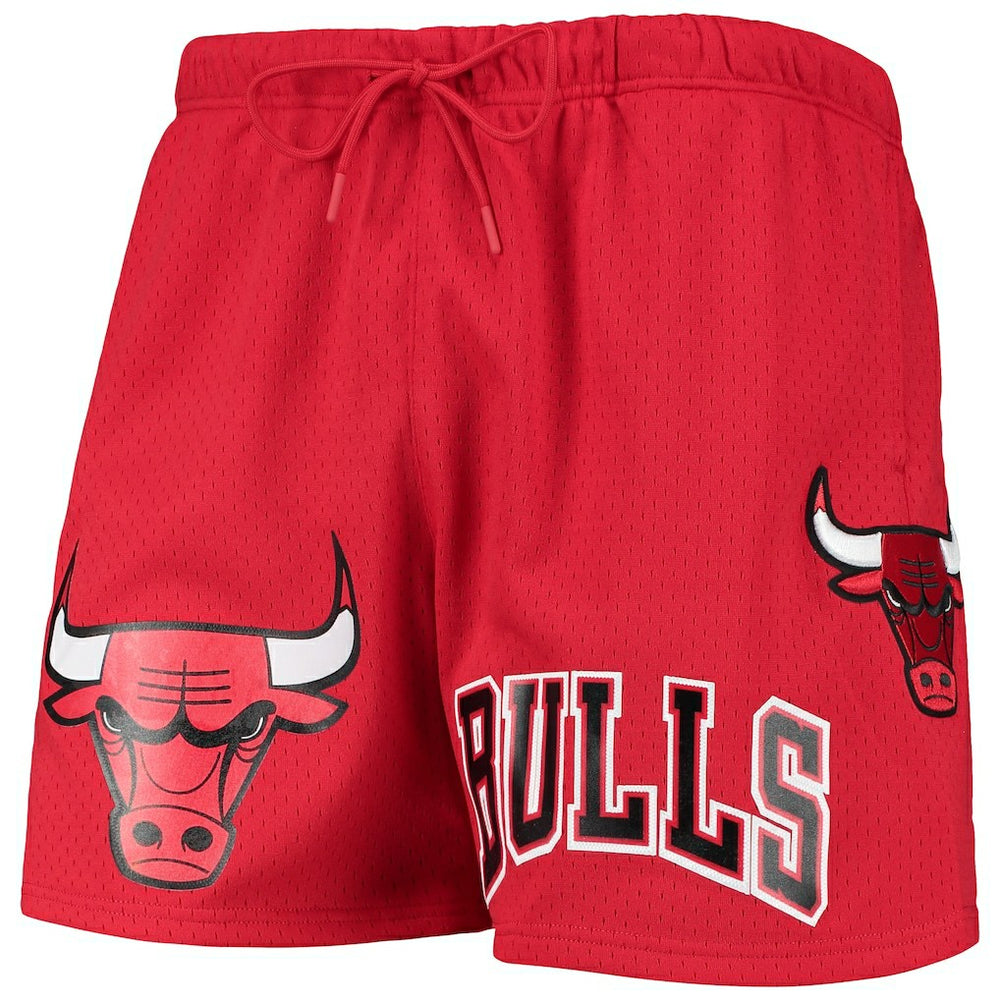 Chicago Bulls Pro Standard Mesh Capsule Shorts
