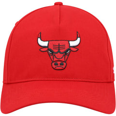 47 brand Chicago Bulls '47 Hitch Snapback Hat