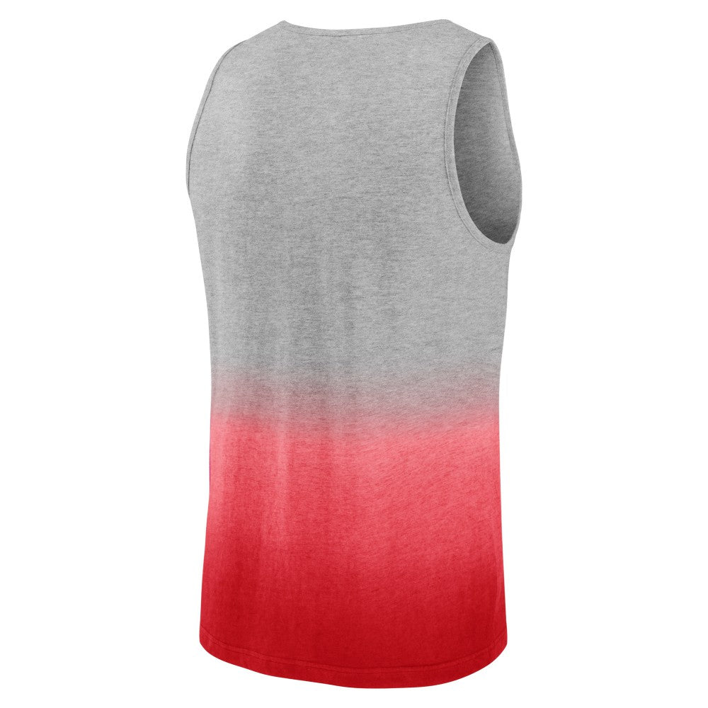 Gray/Red St. Louis Cardinals Fanatics Our Year Tank Top