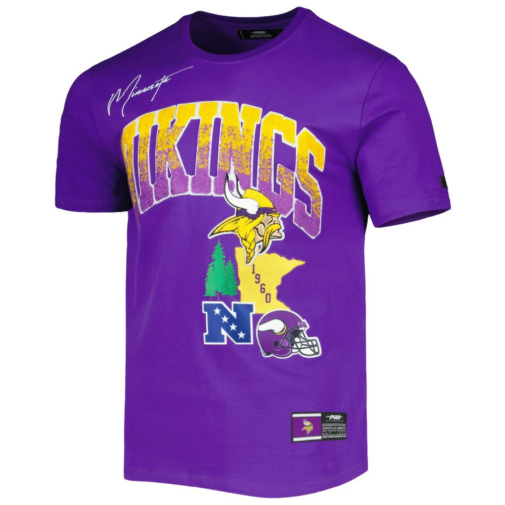 Pro Standard Hometown Collection T-Shirt - Minnesota Vikings T-shirts