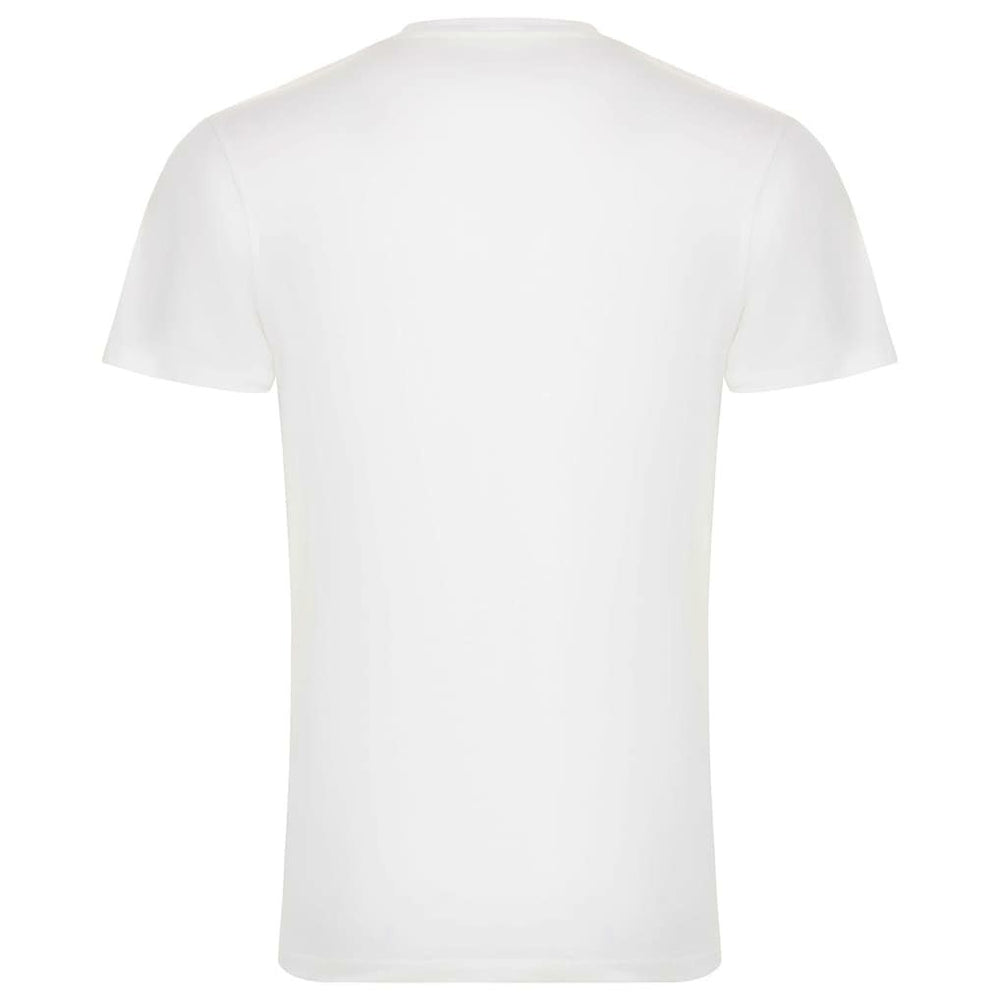 Chicago Bulls Sportiqe Unisex 1966 Collection City Flag Bingham T-Shirt sale