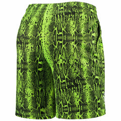 Summer Pop Shorts - New England Patriots Shorts