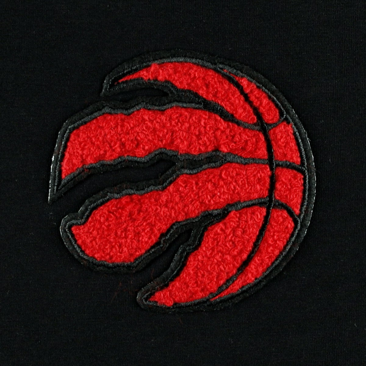 Toronto Raptors Pro Standard Women's Classics Boxy T-Shirt