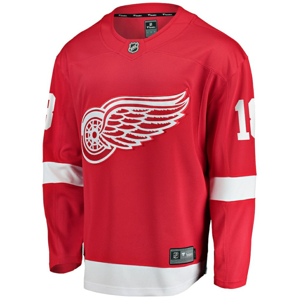 NHL Andrew Copp Detroit Red Wings Fanatics Home Breakaway Player Jersey