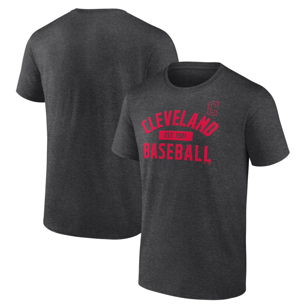 Charcoal Cleveland Guardians Primary Pill T-Shirt