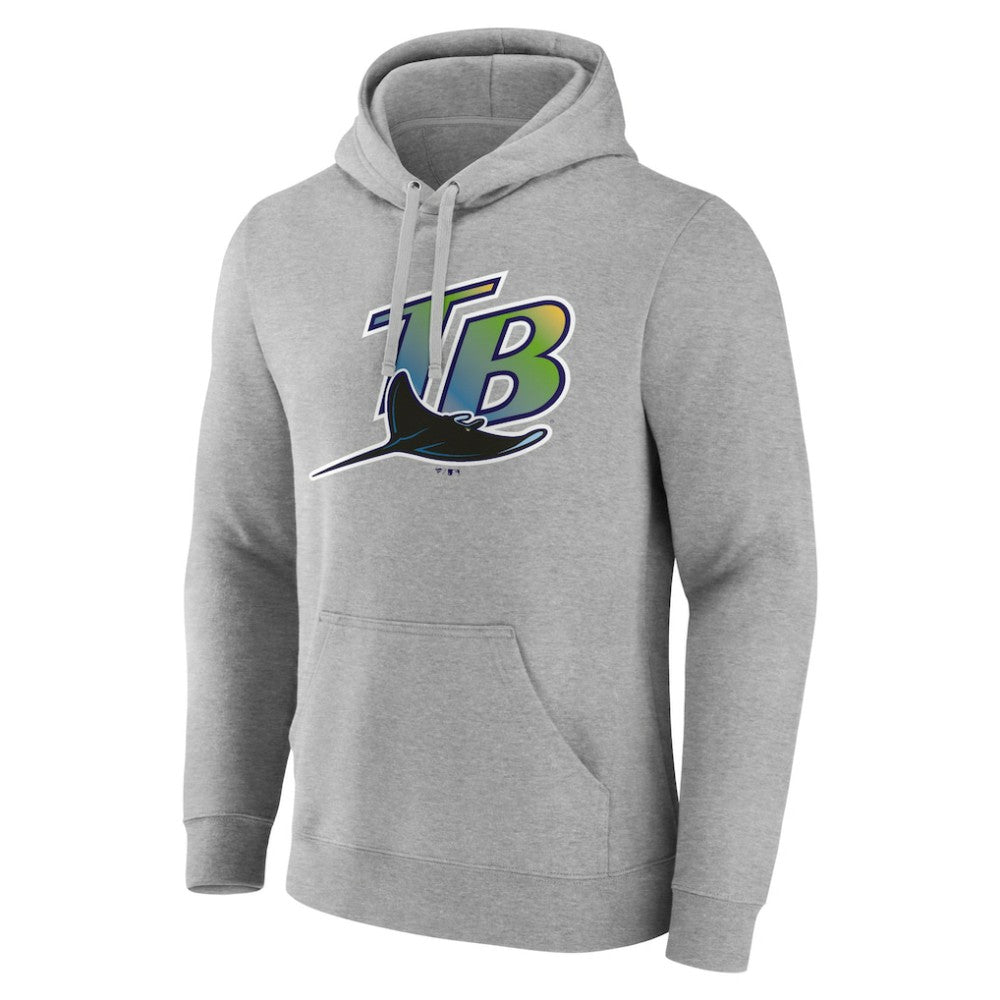 Gray Tampa Bay Rays Wahconah Pullover Hoodie