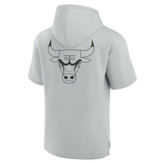 Fanatics Chicago Bulls Unisex Elements Super Soft Fleece Short Sleeve Pullover Hoodie sale