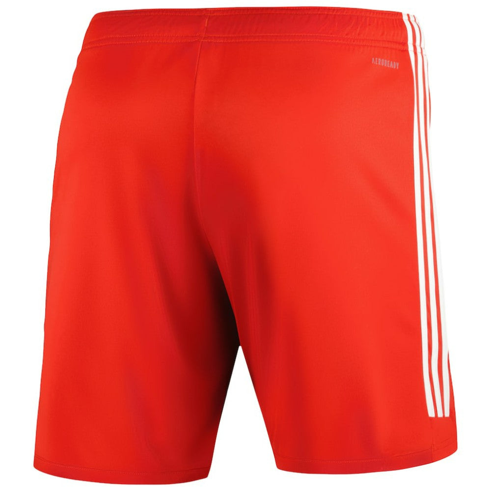 Bayern Munich 2023/24 Training Shorts