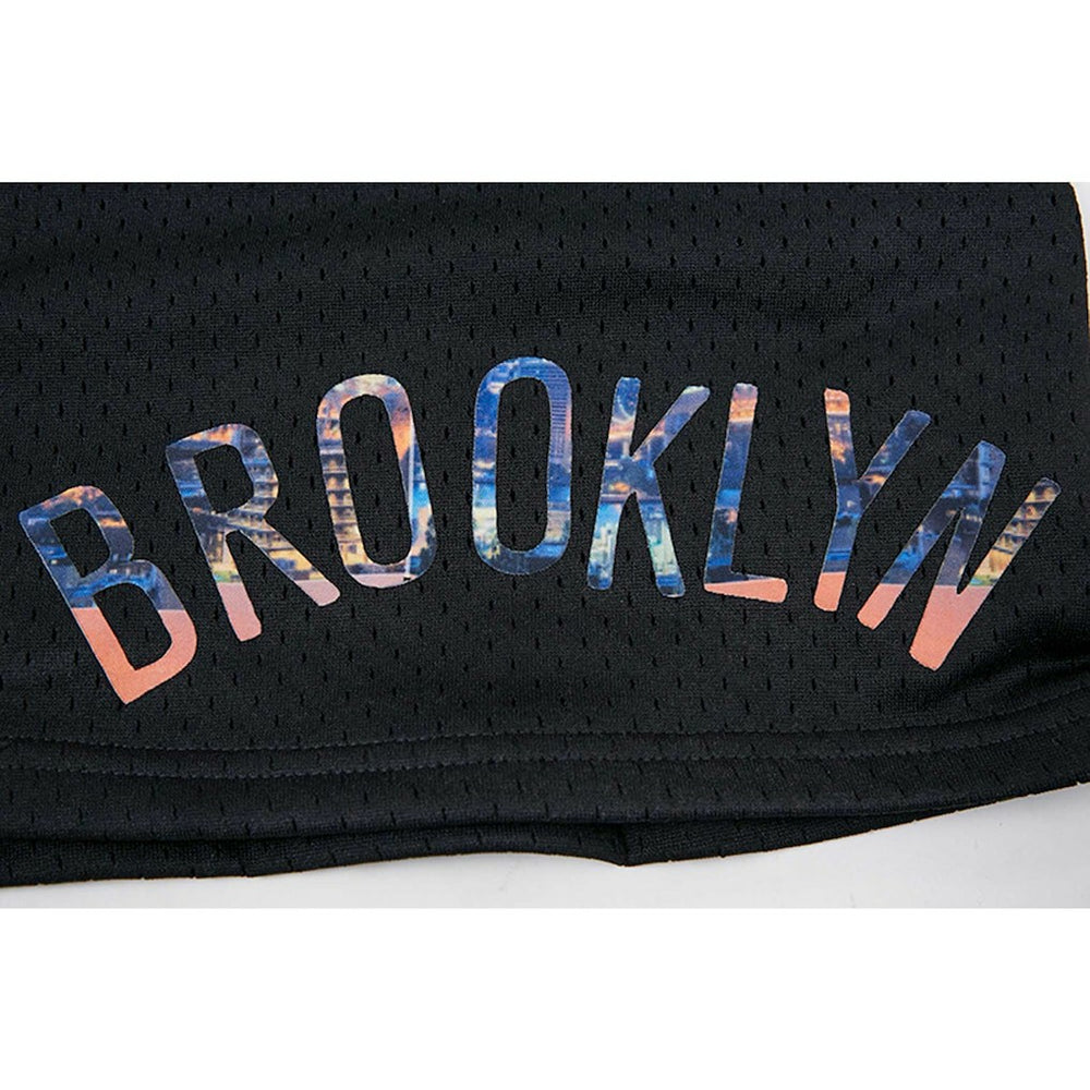 Brooklyn Nets Pro Standard City Scape Mesh Shorts