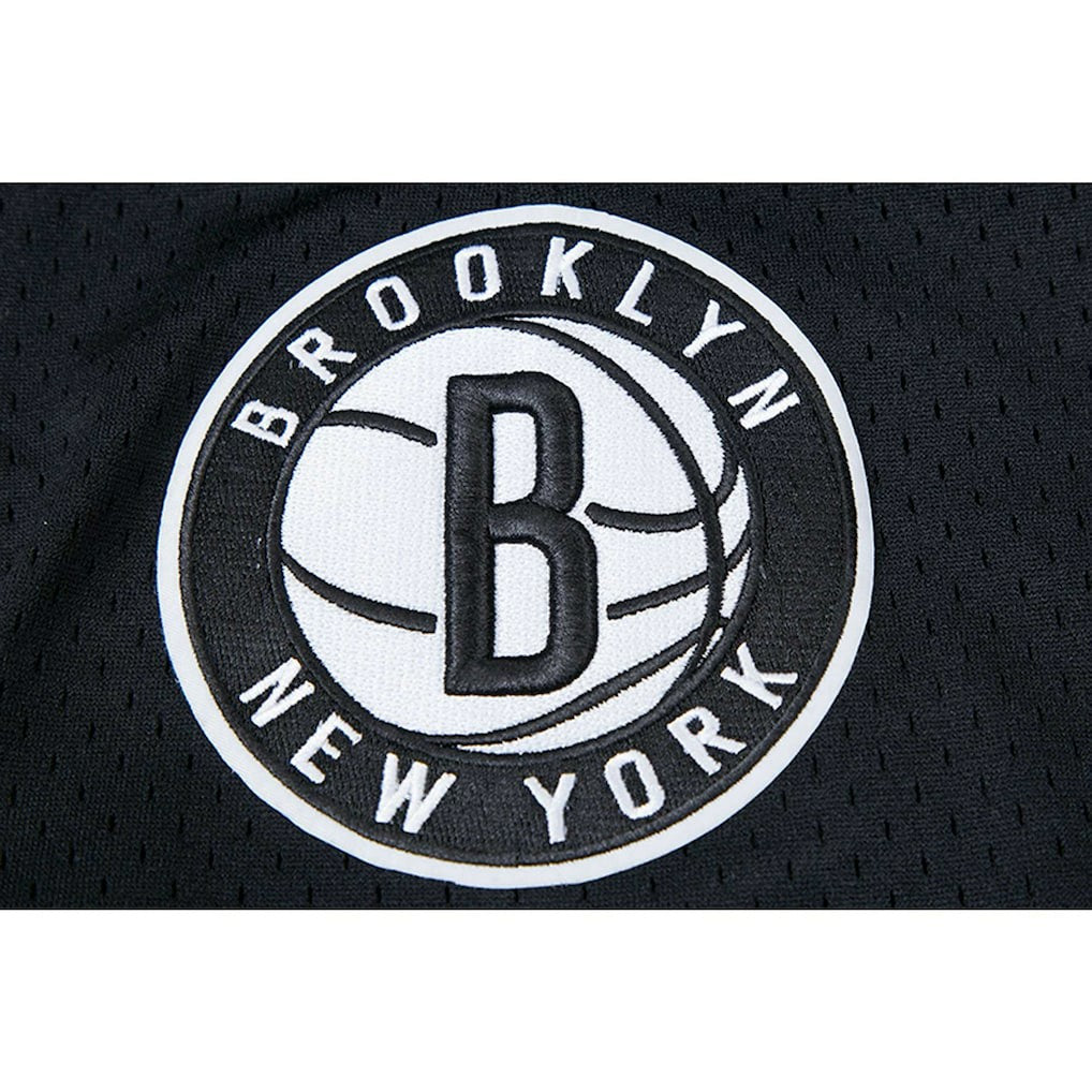 Brooklyn Nets Pro Standard City Scape Mesh Shorts