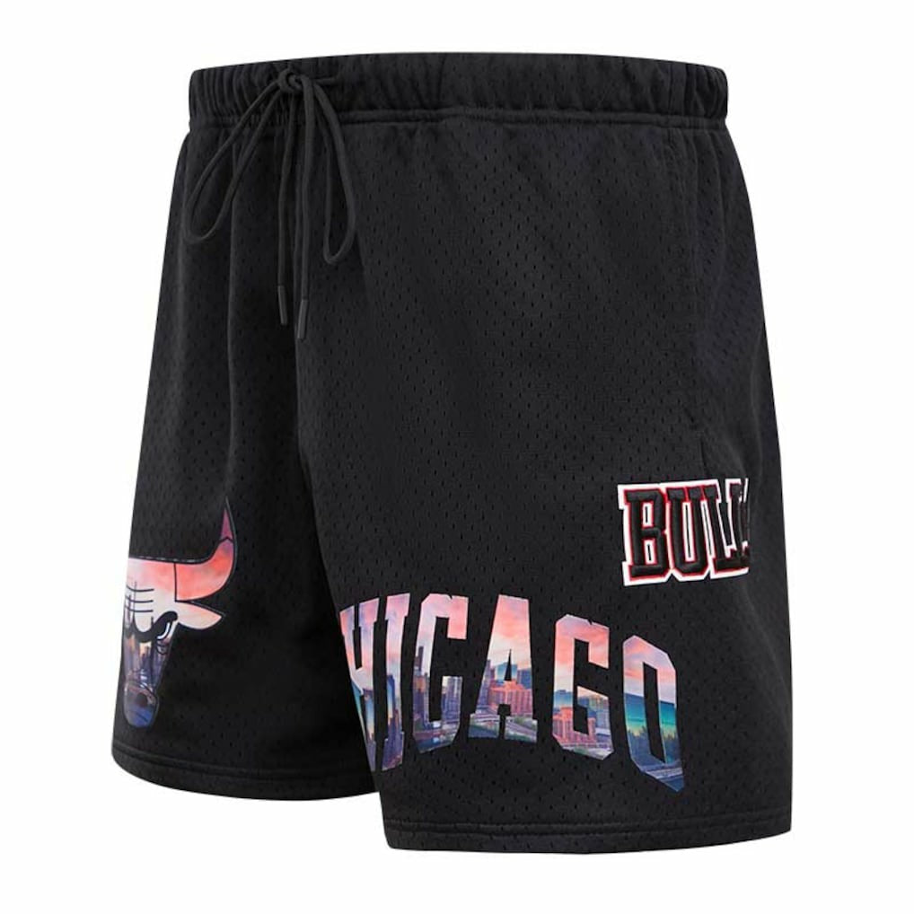 Chicago Bulls Pro Standard City Scape Mesh Shorts