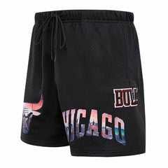 Chicago Bulls Pro Standard City Scape Mesh Shorts