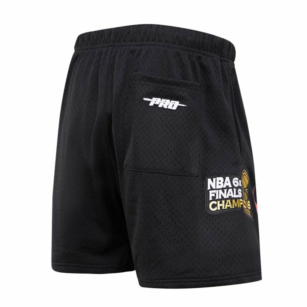 Chicago Bulls Pro Standard City Scape Mesh Shorts