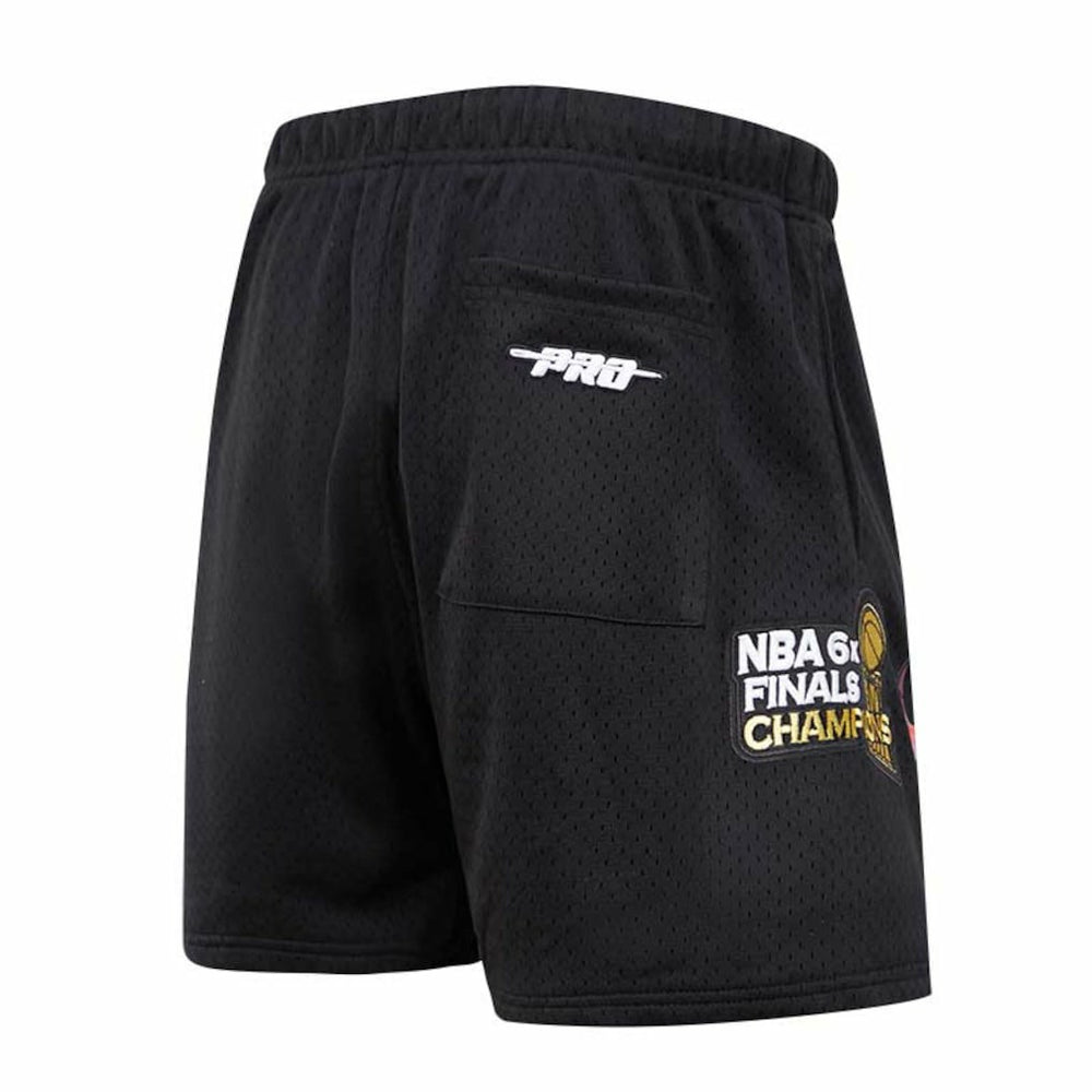 Chicago Bulls Pro Standard City Scape Mesh Shorts
