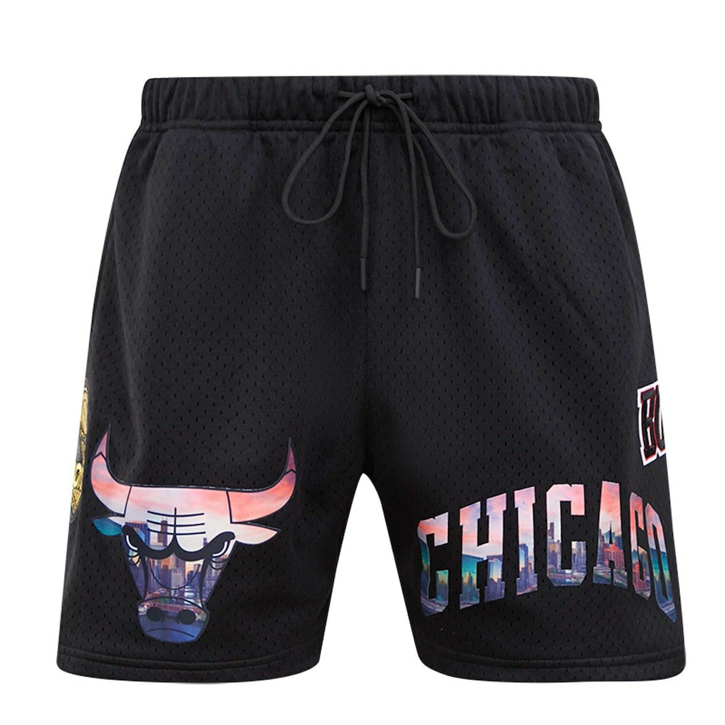 Chicago Bulls Pro Standard City Scape Mesh Shorts