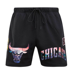 Chicago Bulls Pro Standard City Scape Mesh Shorts