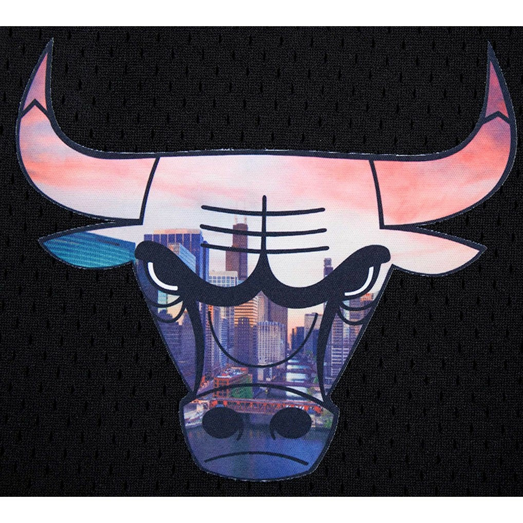 Chicago Bulls Pro Standard City Scape Mesh Shorts